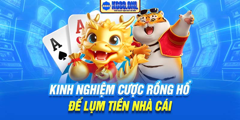 Kinh nghiệm cược Rồng Hổ để lụm tiền nhà cái