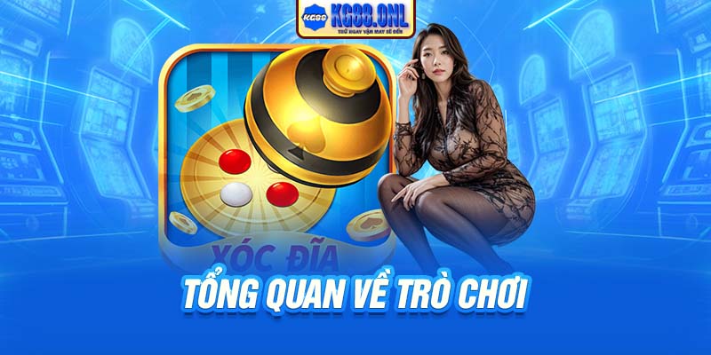 Tổng quan về trò chơi